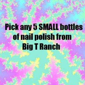 Pick Any 5 Small Size Bottles Nail Polish - Custom..