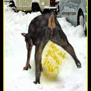 Soap - Never Eat Yellow Snow Sparkling Snowball..