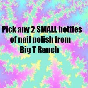 Pick Any 2 Small Size Bottles Nail Polish - Custom..