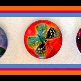 Magnets - Butterflies - Magnet Set Of 3 -1 Inch..