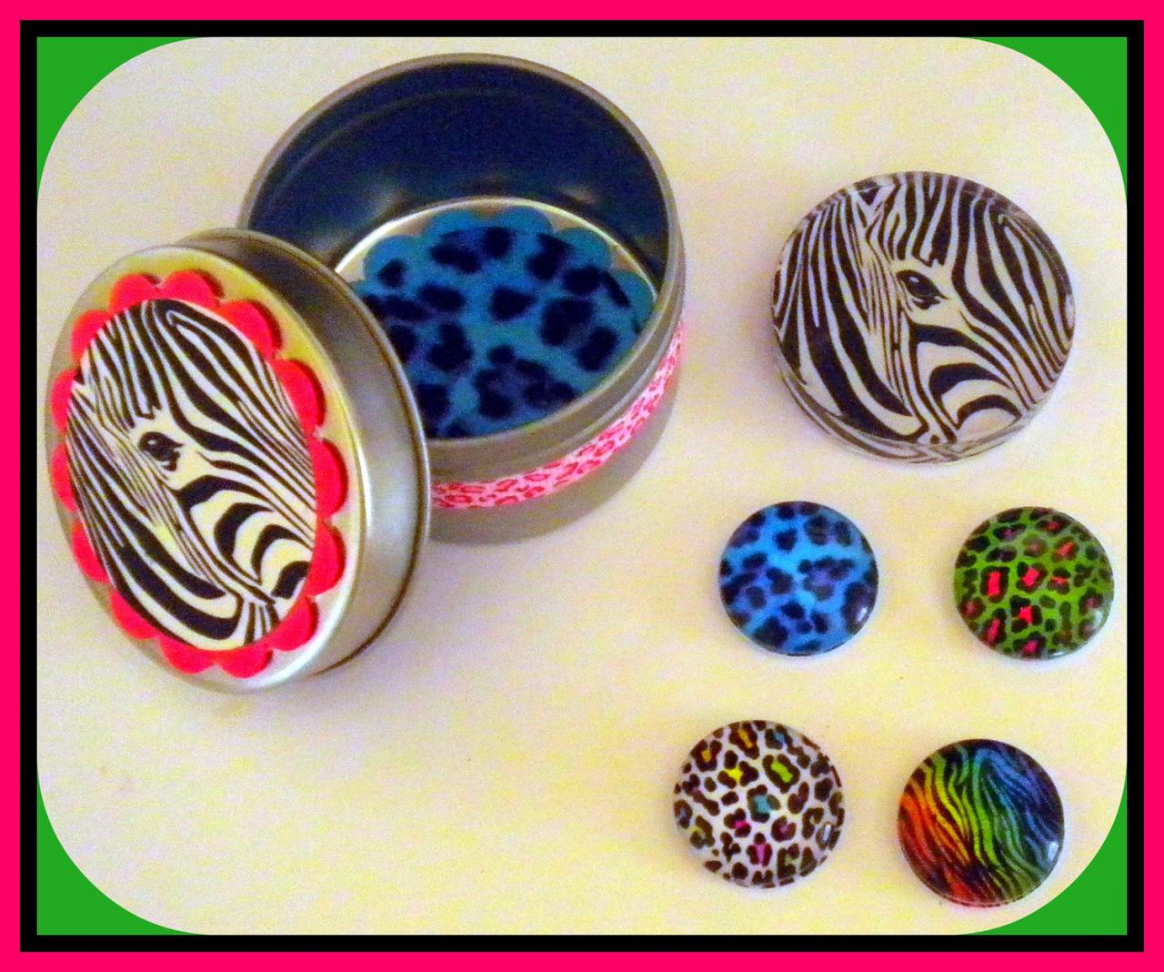 - Magnets - Safari Magnets - Set In Gift Tin - 5 Magnets - 20% Off - Last One