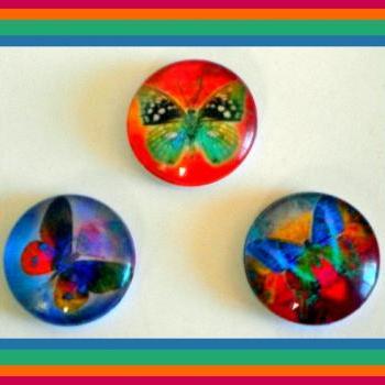 Magnets - Butterflies - Magnet Set Of 3 -1 Inch..